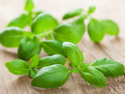 Sám Bůh ji poslal lidem: Je Antioxidační, antibiotická, čistí krev a ničí cholesterol