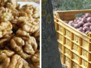 Jak uchovat ořechy klidně i 10 let s nezměněnou chutí. Nezatuchnou a ani neplesniví!