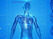 Současné studie potvrzují, že klíčem k zdravým kostem není vápník. Toto je doporučení rodičům i starším lidem