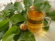 Listy vlašského ořechu jsou přírodním léčivem, pro které stačí jen natáhnout ruku. Takto je použijete, jsou doslova dar z nebes!