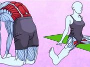 6 protahovacích cviků, které vás navždy zbaví bolesti v zádech a bedrech